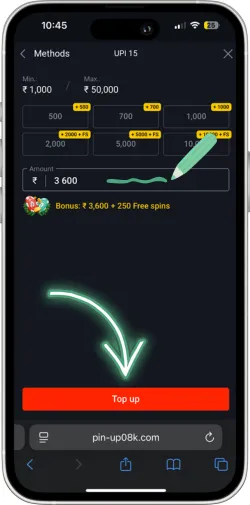 Amount input field
